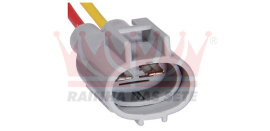 Produtos - Rainha das Sete